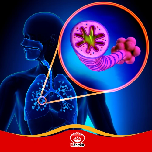 سرفه مزمن تا تنگی نفس ناگهانی راهنمای تشخیص و درمان جامع بیماری های انسدادی ریه COPD، آسم، برونشکتازی